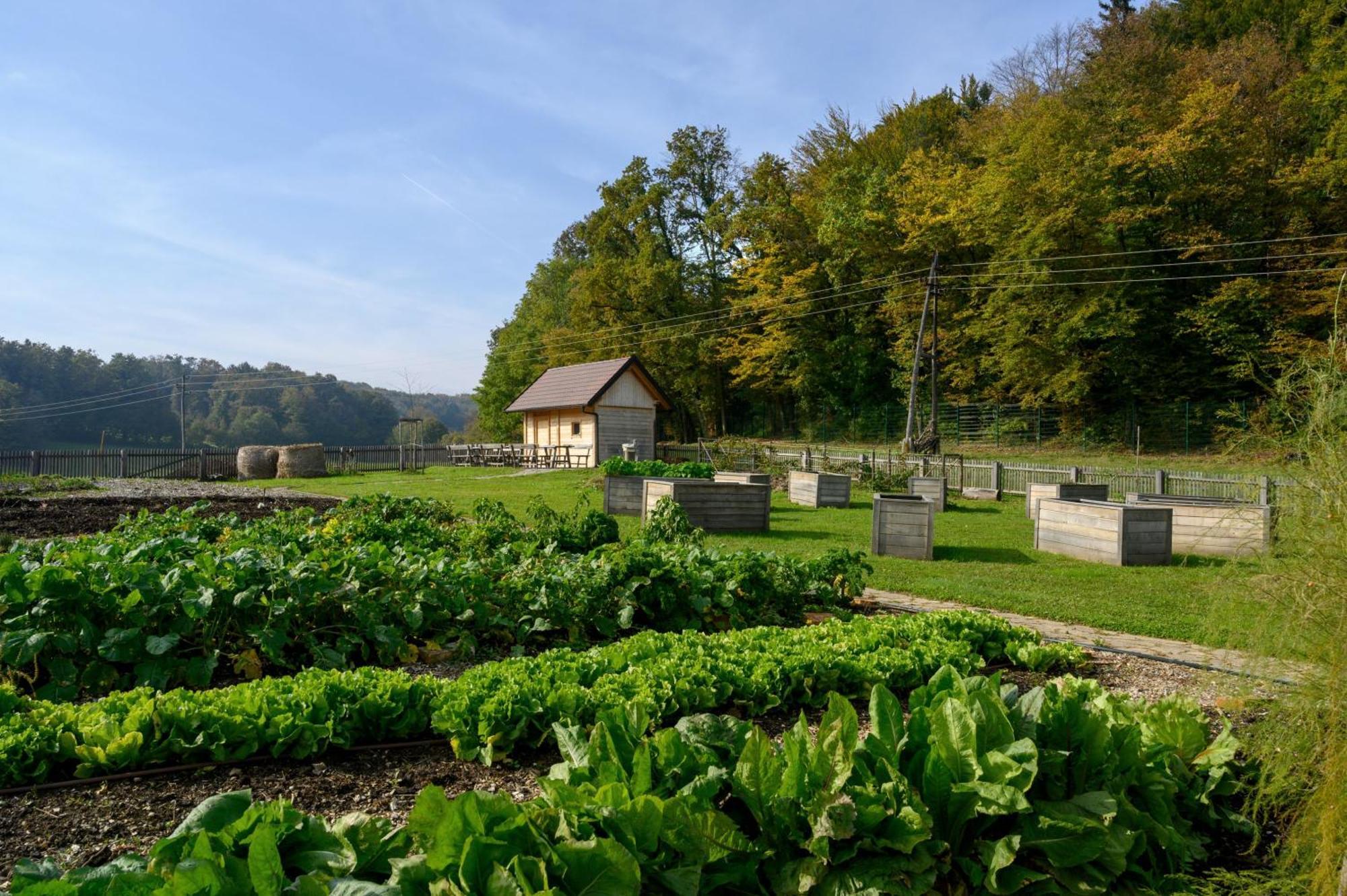 Hotel Grad Otocec - Relais Chateaux Екстер'єр фото
